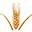 wheatfoods.org