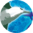 wildwings.co.uk