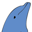 delfyn.com