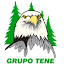 grupotene.com