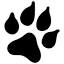 jaywolfe.com