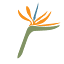 paradisepoint.com