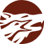 westerncopperandgold.com