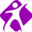 acmephysiotherapy.com