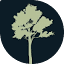 drespeditocarvalho.com