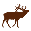 elkcity.com