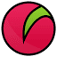 forum-raspberrypi.de