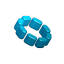 gaglani.com