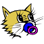 kitty.be