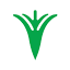 knnv.nl