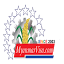 myanmarvisa.com