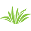 peachtreeplants.com