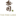 pgcake.com