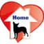 stichting-friends4straydogs.nl