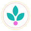 thirdbliss.com