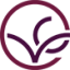 vineconnections.com