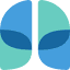 asthmahandbook.org.au