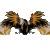 blackbirdcapital.com.au