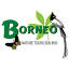 borneonaturetours.com