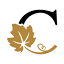 cite-vins-bourgogne.fr