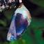embodiedcoaching.ca