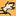 flyingsquirrelconsortium.com
