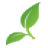 gaiana.nl