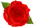 jrroses.com