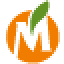 medisnn.ru