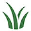 newzealandlawnaddicts.com