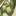 olive-house.ru
