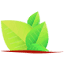 prodeco.org.bo
