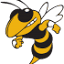 southstinger.com