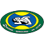 zinganobjj.com