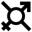 annsom.com