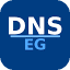 dnsegypt.com