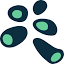 ethicweb.com