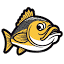 fish-haus.ru