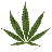 hempstore.com.au