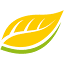 kohltrade.com