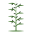 olivetreecounselinglouisville.com
