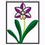 orquidariosantabarbara.com