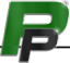 paragonperformance.com