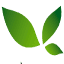 sangogiadinh.com