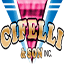 cifelliandson.com