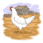 eggboxesforsale.com