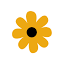 florsaborosa.com