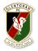 glentoran.com