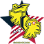ironduck.com