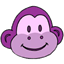 paisleymonkey.com